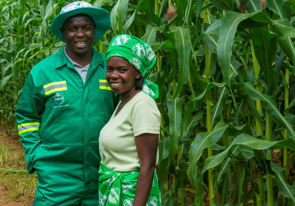 bumper-harvest