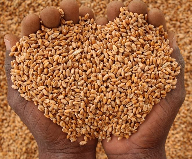 wheat-drop-down