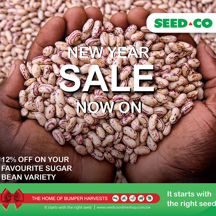 What's New? 1 new year