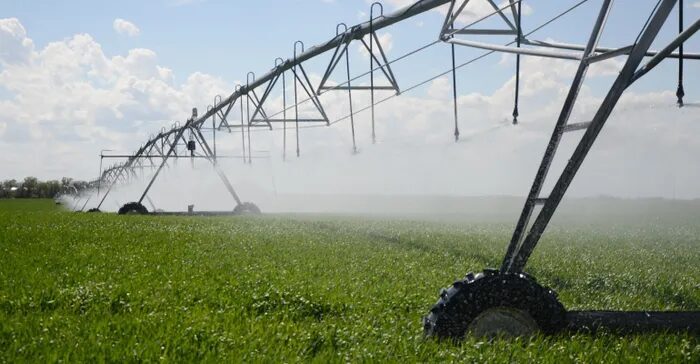 Critical Importance of Wheat Growth Stages 2 Link 20 200226W1 1455B